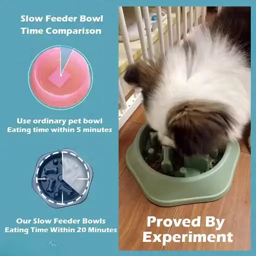 FurEase Slow Feeding Anti-Choking Pet Bowl